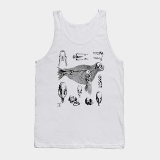 Sea Lion Seal | Ocean Animal Mammal Marine Life Tank Top